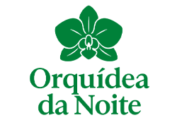 Orquideas da Noite